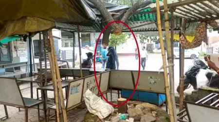 हाईप्रोफाइल एरिया से चोरीः ADM कार्यालय के बगीचे और कोर्ट परिसर से कीमती चंदन पेड़ चोरी