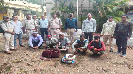 बाघ तस्करी का बड़ा खुलासा: वन विभाग ने 5 तस्करों को टाइगर की हड्डियां बेचते रंगे हाथ दबोचा, दो कंकाल बरामद