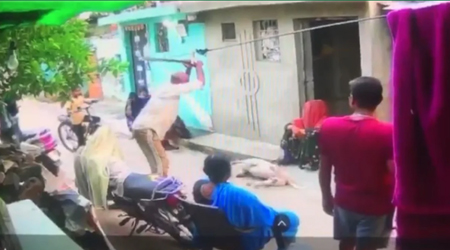 स्ट्रीट डॉग की बेरहमी से हत्या, साथी कुत्ते पर भी किया जानलेवा हमला; VIDEO आया सामने