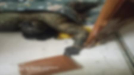 रिटायर्ड CMHO की पत्नी की निवस्त्र मिली लाश, 5 दिन पुराना बताया जा रहा शव, जांच में जुटी पुलिस