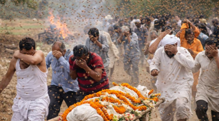 अंतिम संस्कार में अचानक मची भगदड़: मधुमक्खियों के हमले से अर्थी छोड़ भागे लोग