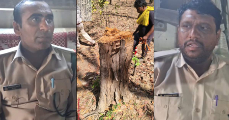 खाकी का खौफनाक चेहरा: सागौन की बलि पर अपने ही कर्मचारियों को दी थर्ड डिग्री